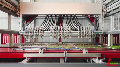 Setzlinge automatisiert umpflanzen